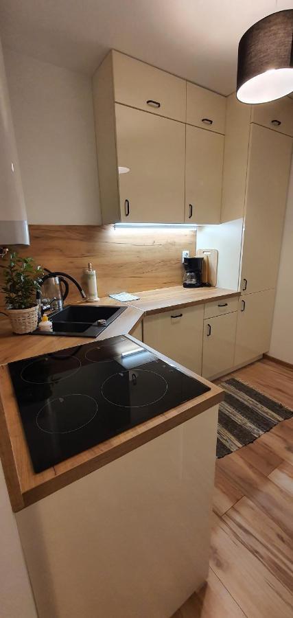 Apartment Lakowa